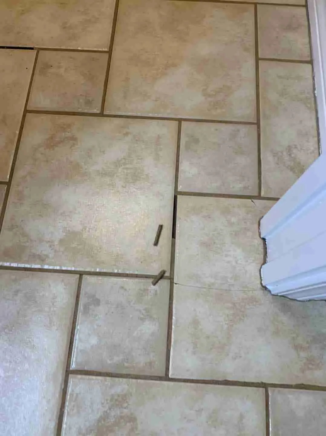 Floor tiles with a visible gap and small object.